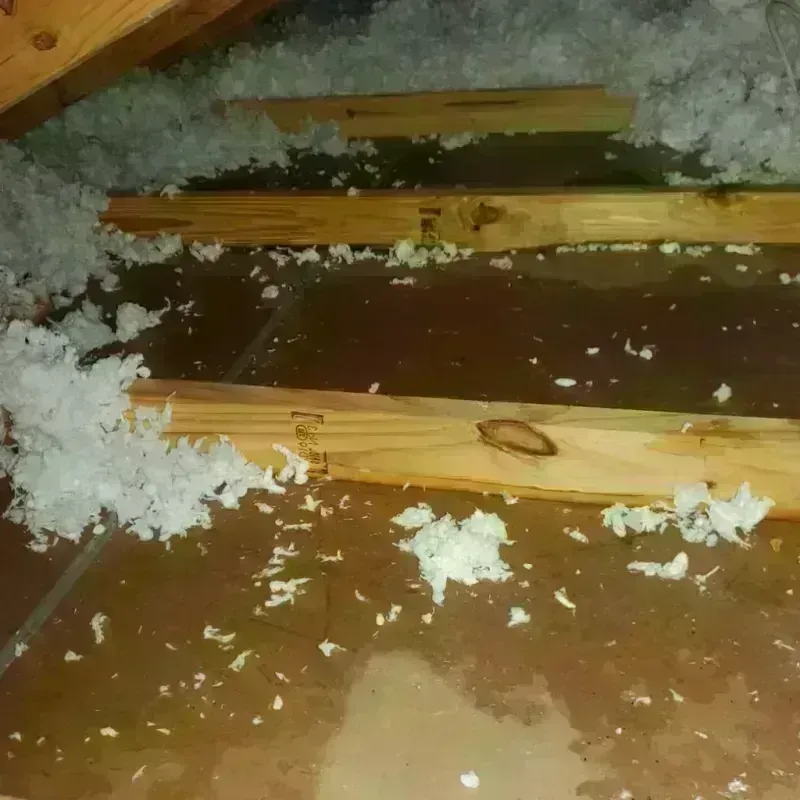 Attic Water Damage in Belvedere, CA